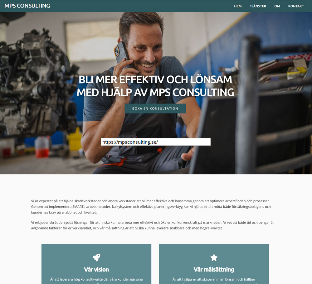 MPS Consulting
